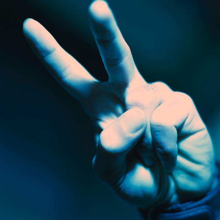 Hand Displaying Peace Sign